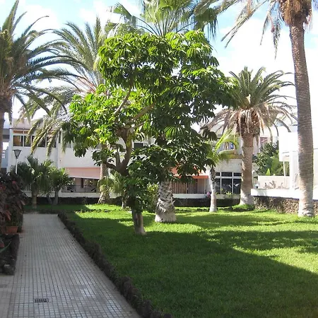 Elana Apartment With Free Wifi Costa Del Silencio Exterior photo