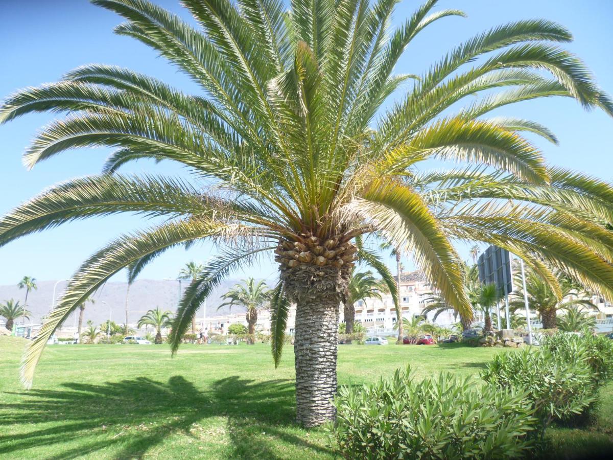 Elana Apartment With Free Wifi * Costa Del Silencio