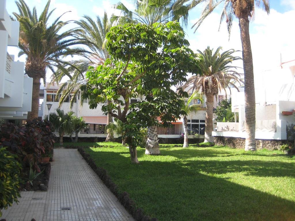 Elana Apartment With Free Wifi Apartment Costa Del Silencio