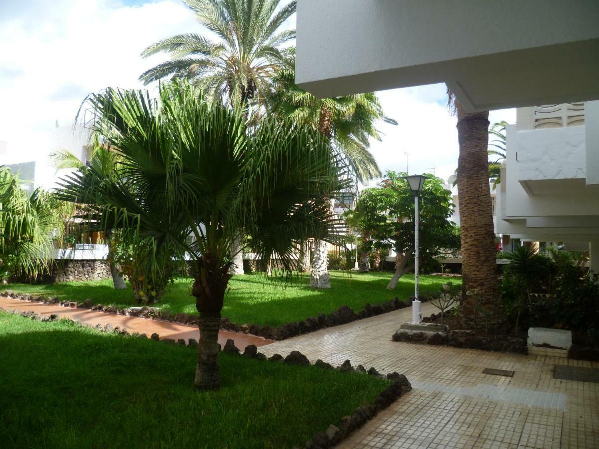 Elana Apartment With Free Wifi Costa Del Silencio